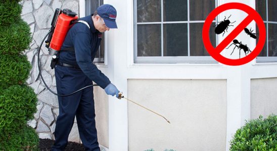 Tuzlukçu Kene İlaçlama böcek ilaçlama ve haşere kontrolü — ilaclama-tr.com
